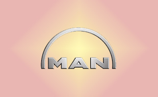 ✓ MAN 81.52130.6255 Запчасти МАН (MAN) 