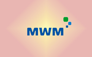 ✓ MWM PYO-U117R Плунжерная пара ТНВД ГД правого вращения 